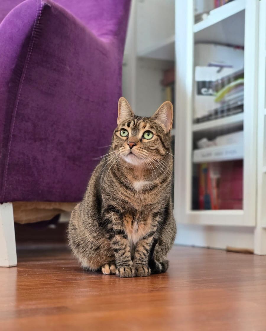 Eva