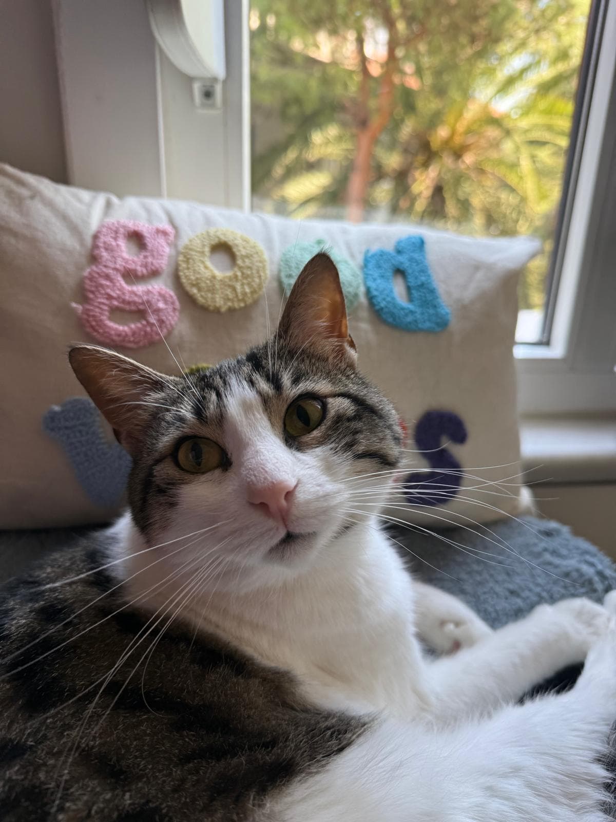 Lila