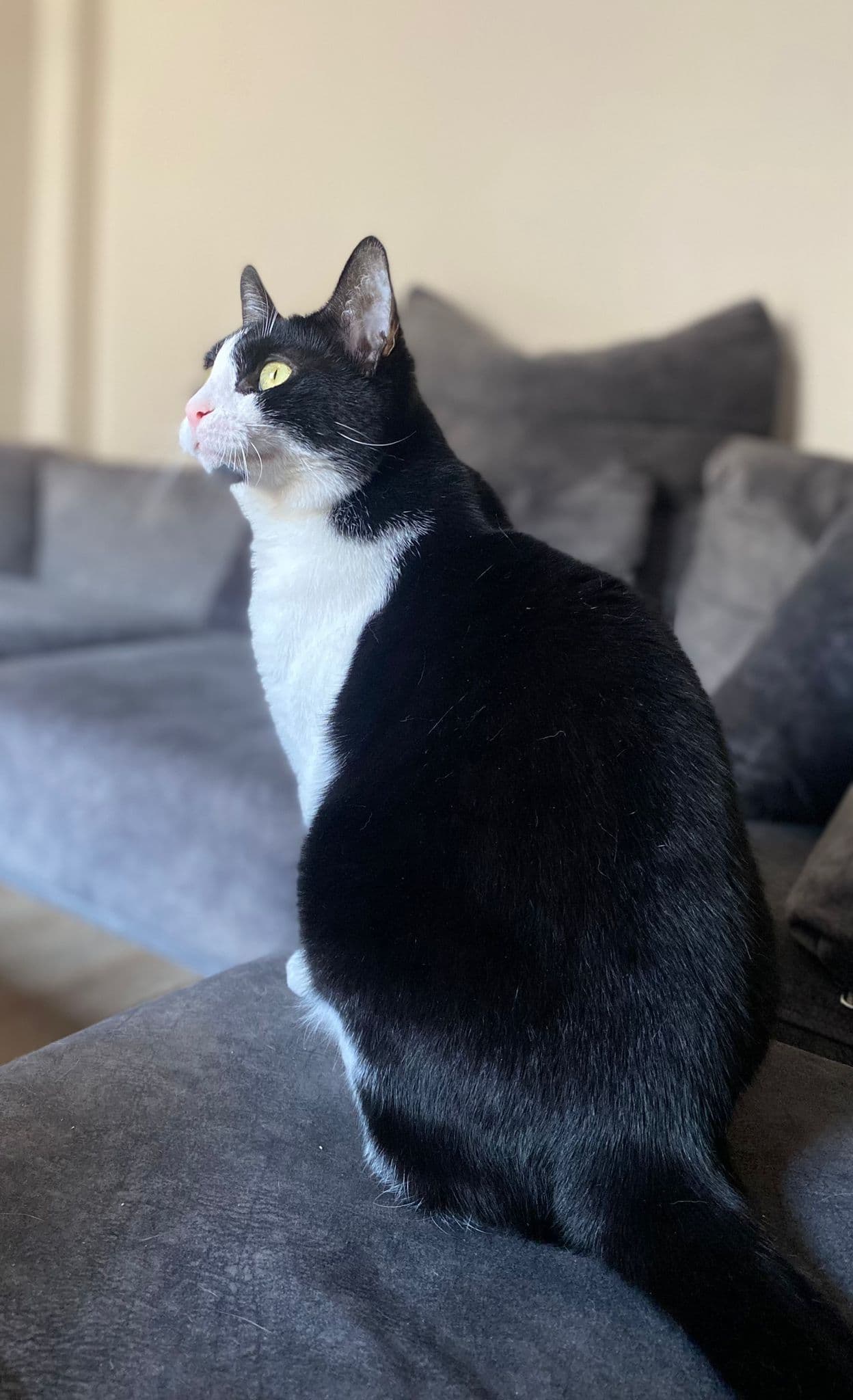 Luna